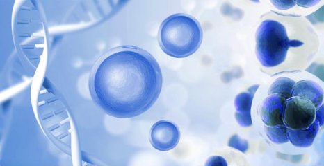 干细胞技术在临床医学中展示应用价值,我国干细胞政策一览